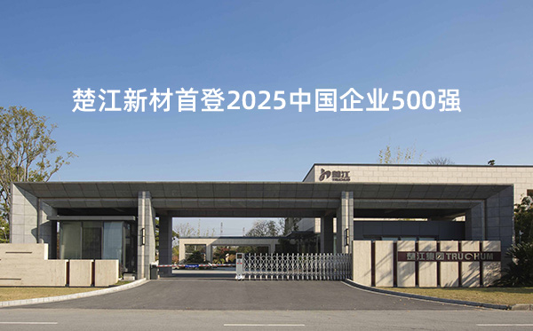 楚江新材首登2025中國企業500強